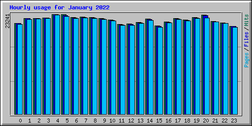 Hourly usage for January 2022