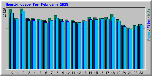 Hourly usage for February 2025