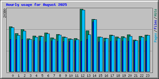 Hourly usage for August 2025