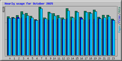 Hourly usage for October 2025