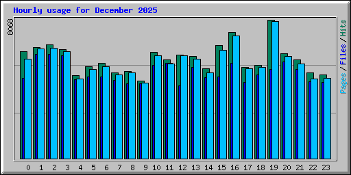 Hourly usage for December 2025