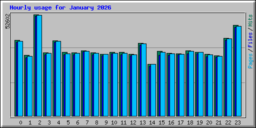 Hourly usage for January 2026
