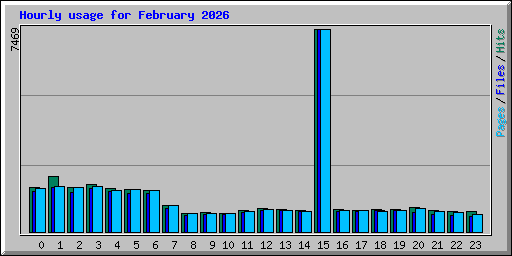 Hourly usage for February 2026