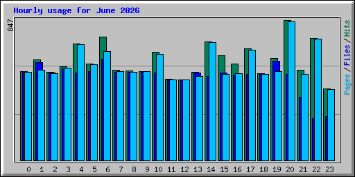 Hourly usage for June 2026